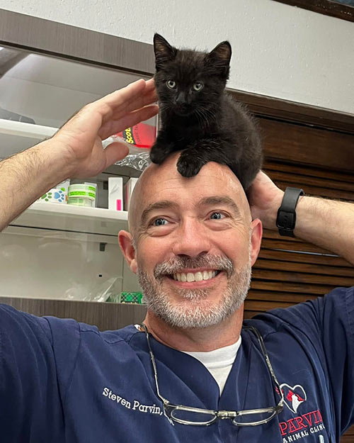 Dr-Parvin-smiling-with-black-kitten-on-his-head-500×625-1 Dr. Parvin smiling with a black kitten sitting on his head
