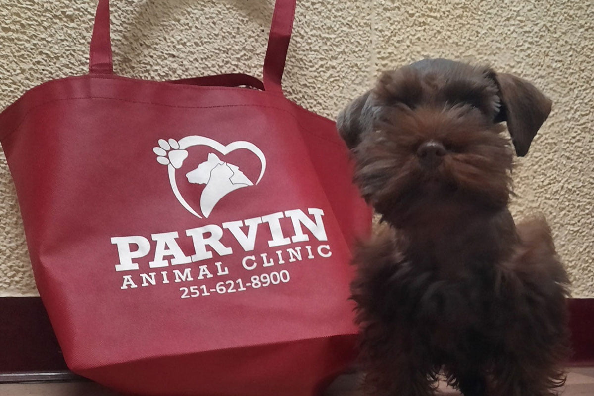 Pravin clinic blog image