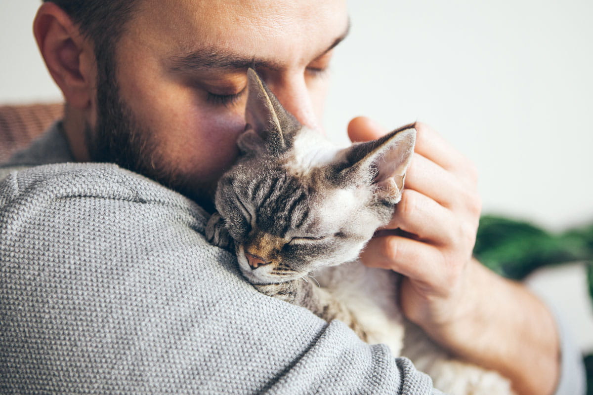 cat-and-man-portrait-of-happy-cat-with-close-eyes