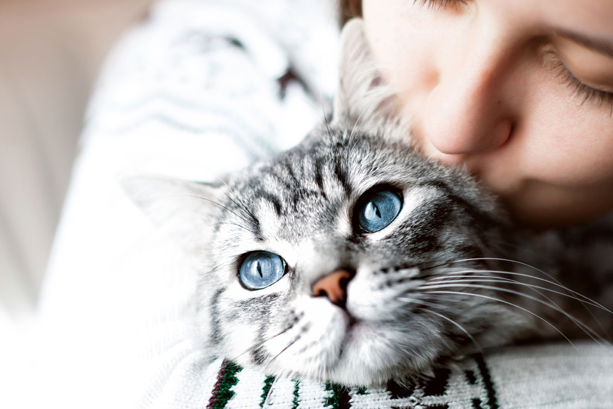 cat-lover