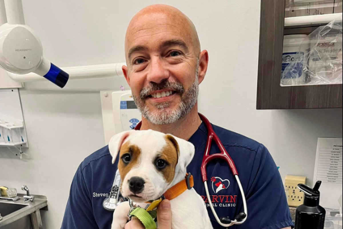 dr parvin and cholla