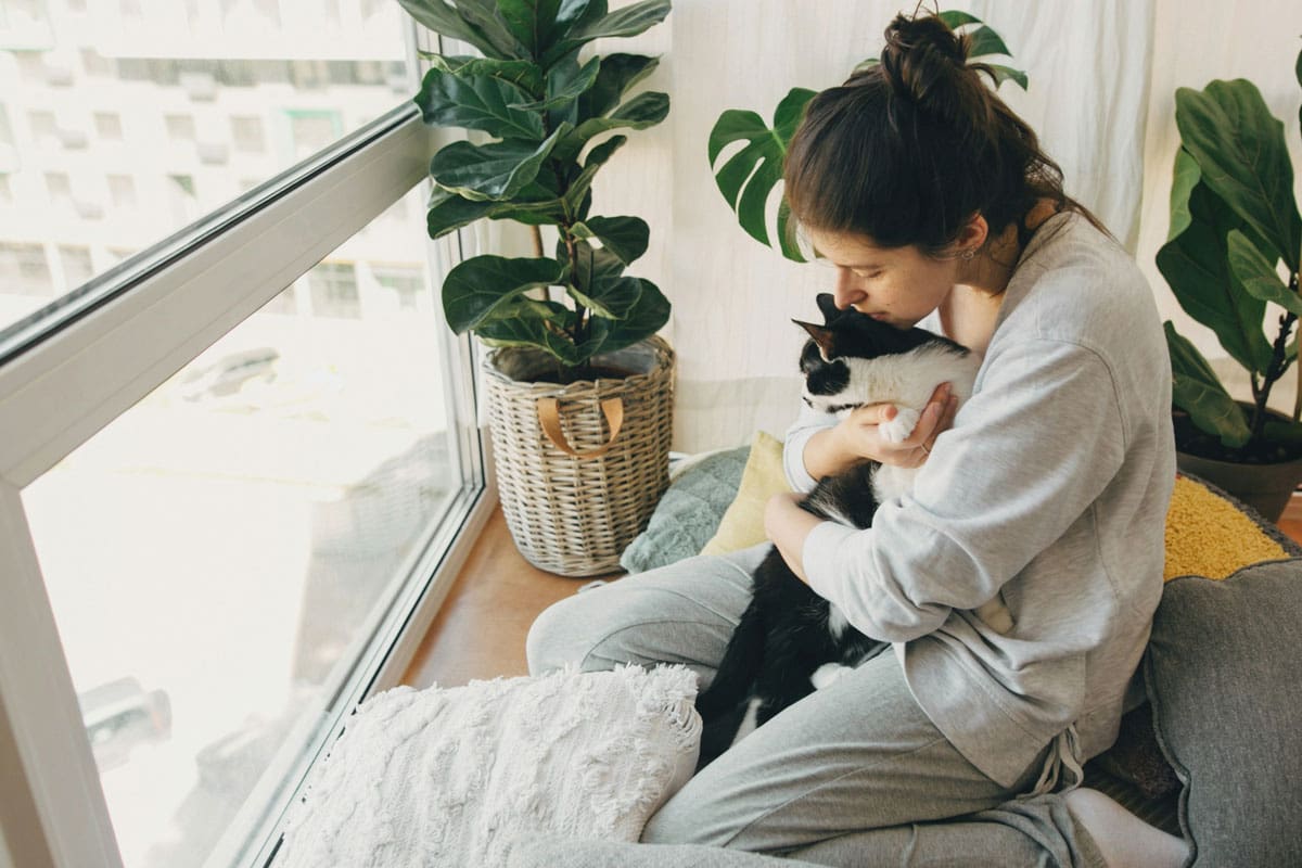 woman-holding-a-cozy-kitten-on-a-balcony woman-holding-a-cozy-kitten-on-a-balcony