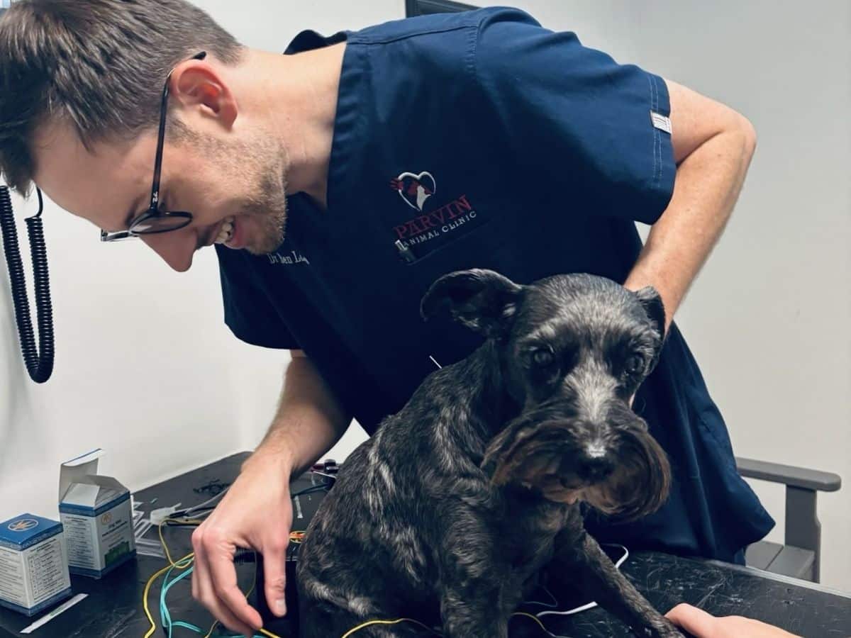 Dr. Ben treating Sadie