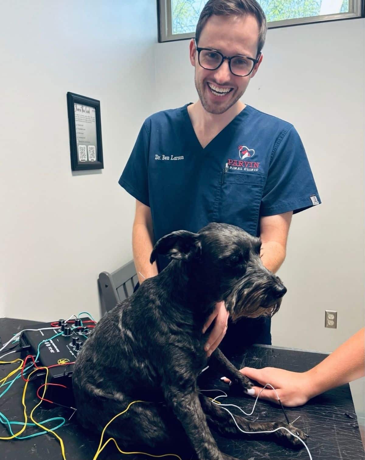 Dr. Ben treating Sadie during acupuncture